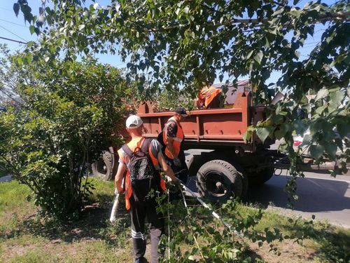 Фото пресс-службы Администрации Абакана